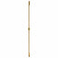 Ladedør Corona HonningBrun 70 x 210 cm Massivt fyrretræ