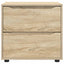 Opbevaringsskab Sonoma eg 60 x 48 x 57 cm Konstrueret træ