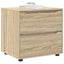 Opbevaringsskab Sonoma eg 60 x 48 x 57 cm Konstrueret træ