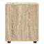 Opbevaringsskab Sonoma eg 40 x 48 x 57 cm Konstrueret træ