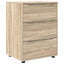 Opbevaringsskab Sonoma eg 60 x 48 x 81 cm Konstrueret træ