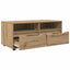 TV-skab Artisan Egetræ 100 x 48 x 43 cm Konstrueret træ