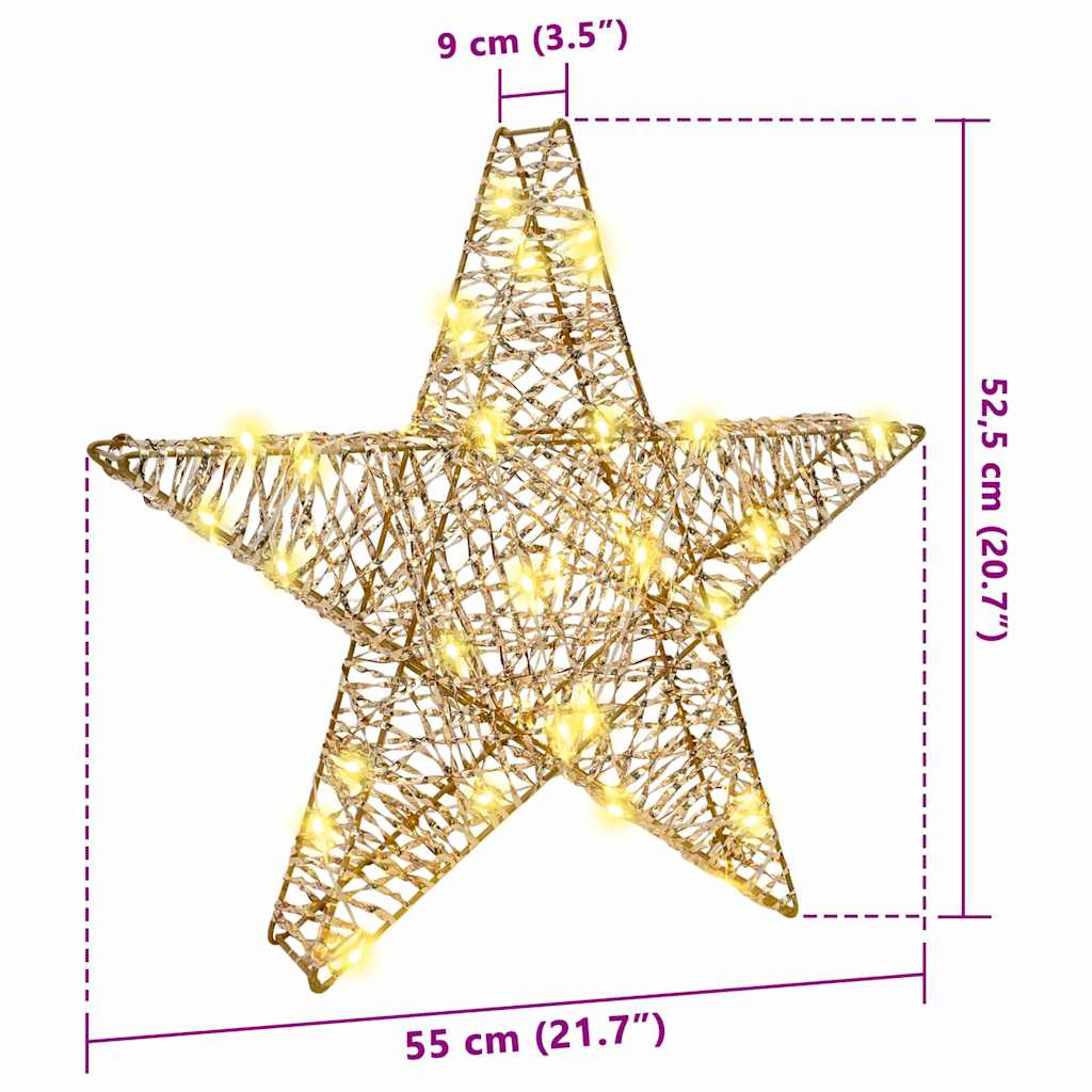 3D Stjerne med 50 LED'er Varm hvid 55 x 52,5 x 9 cm PET