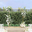 Bryllupsbue Guld 150 x 49,5 x 200 cm Stål