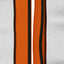 Gazebo Cover med sidevægge 6 x 3 m Orange Polyester 190