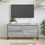 TV-skab Grå Sonoma 100 x 36 x 49,5 cm Konstrueret træ