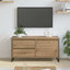 TV-skab Artisan eg 100 x 36 x 49,5 cm Konstrueret træ