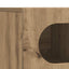 TV-skab ELST 100 x 35 x 40 cm Artisan Egetræ Konstrueret træ