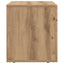 TV-skab ELST 60 x 35 x 40 cm Artisan Egetræ Konstrueret træ