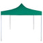 Party Tent Grøn 291 x 291 x 315 cm Oxford stof