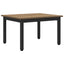 Sofabord Artisan eg 60 x 50 x 36 cm Konstrueret træ