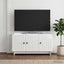TV-skab Hvid højglans 99 x 34,5 x 50 cm Konstrueret træ