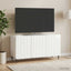 TV-skab Hvid højglans 99 x 34,5 x 52 cm Konstrueret træ