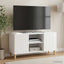 TV-skab Hvid højglans 102 x 34,5 x 50 cm Konstrueret træ