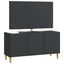 TV-skab Sort 99 x 34,5 x 50 cm Konstrueret træ