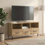 TV-skab Artisan-eg 102 x 34,5 x 50 cm Konstrueret træ