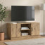 TV-skab 102 x 34,5 x 47 cm Artisan-eg Konstrueret træ
