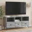 TV-skab Grå sonoma-eg 102 x 34,5 x 50 cm Konstrueret træ