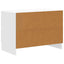Natskab Hvid højglans 62 x 34,5 x 44,5 cm Konstrueret træ