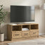 TV-skab 102 x 34,5 x 47 cm Artisan-eg Konstrueret træ