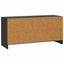 TV-skab Sort 99 x 34,5 x 47 cm Konstrueret træ