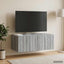 Væghængt TV-skab 78,5 x 41 x 30 cm Grå Sonoma Konstrueret træ