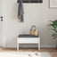 Hallbænk med pude Hvid 63 x 38 x 40 cm