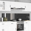 Køkkenbacksplash 2 pcs Mørkegrå 110 x 50 cm hærdet glas