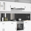 Køkkenbacksplash 2 stk. Mørkegrå 120 x 50 cm hærdet glas