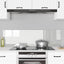 Køkkenbacksplash 2 stk. Transparent 70 x 40 cm hærdet glas