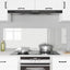 Køkkenbacksplash 2 pcs Transparent 70 x 50 cm hærdet glas