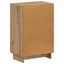 Sko skab EDE 59,5 x 39,5 x 90 cm Konstrueret træ Artisan-eg