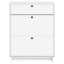 Sko skab EDE 78 x 24 x 103 cm Konstrueret træ Hvid