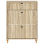 Sko skab ALKMAAR 78 x 24 x 103 cm Konstrueret træ Sonoma-eg