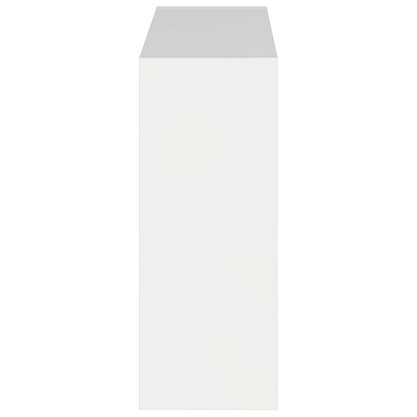 Vægmonteret Skoskab ZWOLLE 71 x 17 x 43 cm Konstrueret træ