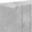 Sko skab ZWOLLE 59,5 x 39,5 x 91,5 cm Konstrueret træ Betongrå