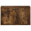 Vægmonteret Skoskab HAARLEM 71 x 17 x 43 cm Konstrueret træ