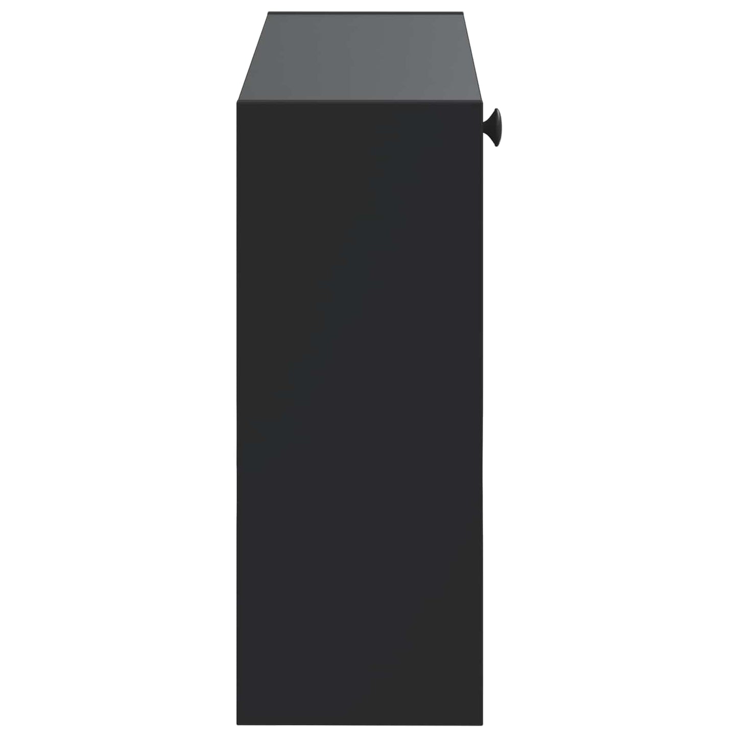 Vægmonteret Skoskab DELFT 71 x 17 x 43 cm Konstrueret træ Sort