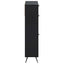 Sko skab BREDA 78 x 24 x 103 cm Konstrueret træ Sort