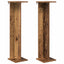 Planteholder 2 pcs Gammelt træ 25 x 25,5 x 100,5 cm