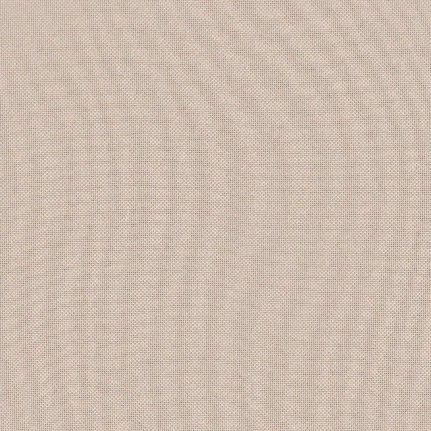 Foldestol Massiv Eucalyptus Træ Beige