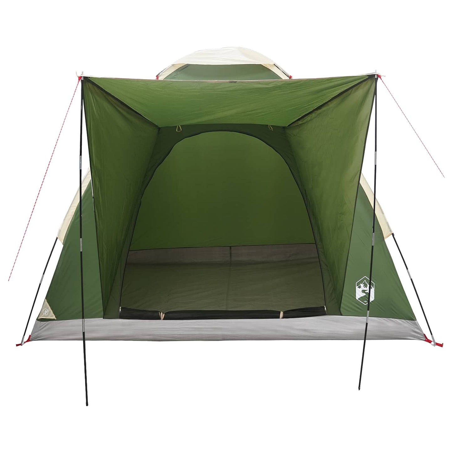 Camping telt med tag Grøn 2-personers Polyester og Stål