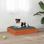 Hundeseng Voks brun 51,5 x 44 x 9 cm Massivt fyrretræ
