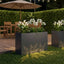 Have Blomsterkrukke Antracit 80 x 20 x 49 cm Koldvalset stål