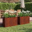 Have Blomsterkrukke 2 stk. Rusten 80 x 20 x 49 cm Cortenstål