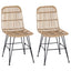 Spisestol 2 pcs Naturfarvet 41 x 55 x 85 cm Rattan og Stål
