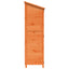 Have Skur med tag Brun 59,5 x 56 x 176,5 cm Massivt Fyrretræ