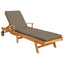 Liggestol med pude 100% Polyester Solid-Teak