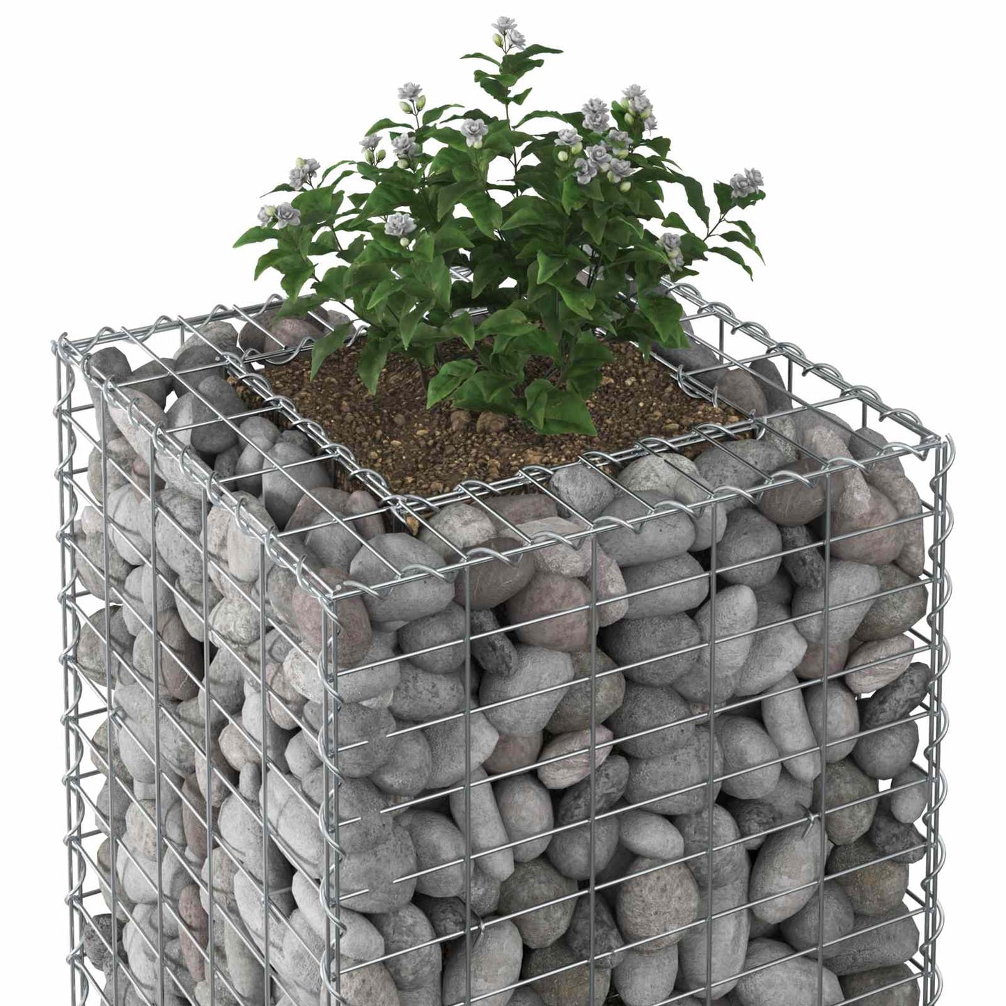 Gabion højbed 50 x 50 x 150 cm Galvaniseret stål Sølv
