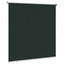 Udendørs rulleskærm 90% UV blok Mørkegrøn 160 x 140 cm HDPE